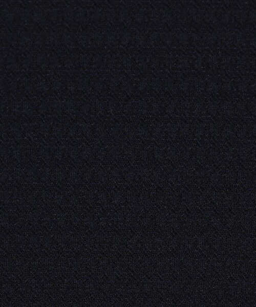 BALLSEY（ボールジィ）の「プラッドジャージー タックワイドパンツ（その他パンツ・レディース・ライトベージュ/ネイビー/ライトグリーン・36/34）」の13枚目の写真