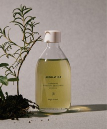 AROMATICA(A}eBJ)́yėpЂ{fBICzAEFCNjO {fBIC yp[~g & [J({fBPA/{fBN[)