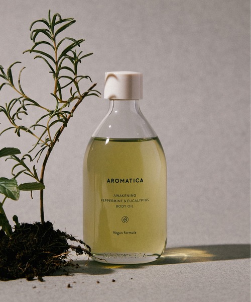 AROMATICA(A}eBJ)́yėpЂ{fBICzAEFCNjO {fBIC yp[~g & [J({fBPA/{fBN[)