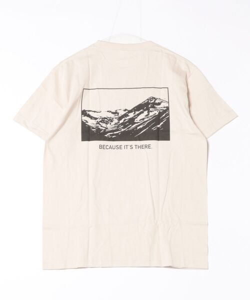 NO WAY(ノーウェイ)の「/バックプリント コットンTシャツ/(Tシャツ/カットソー・レディース・B/C/D/その他5/その他1/その他6/その他7/その他8/その他3/その他2/その他/その他4・LARGE/MEDIUM/X-LARGE)」の18枚目の写真