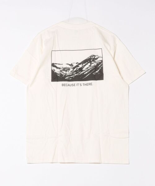NO WAY(ノーウェイ)の「/バックプリント コットンTシャツ/(Tシャツ/カットソー・レディース・B/C/D/その他5/その他1/その他6/その他7/その他8/その他3/その他2/その他/その他4・LARGE/MEDIUM/X-LARGE)」の20枚目の写真