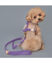 SUPERPET（スーパーペット）の「子犬ハンズフリーコットンマルチリード5色（リード/ハーネス/首輪）」