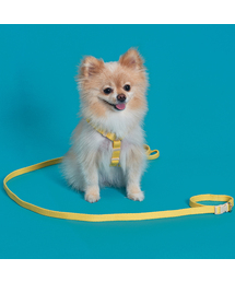 SUPERPET（スーパーペット）の「子犬ハンズフリーコットンマルチリード5色（リード/ハーネス/首輪）」