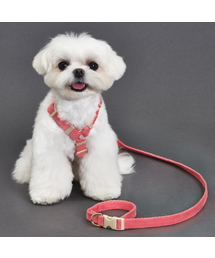 SUPERPET（スーパーペット）の「子犬ハンズフリーコットンマルチリード5色（リード/ハーネス/首輪）」