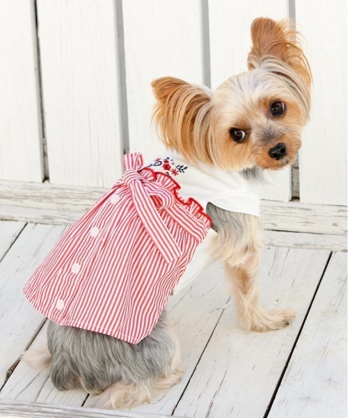 犬と生活 いぬとせいかつ クールストライプワンピース 犬服 ドッグウェア ペットウェア 犬と生活 イヌトセイカツ のファッション通販 Zozotown