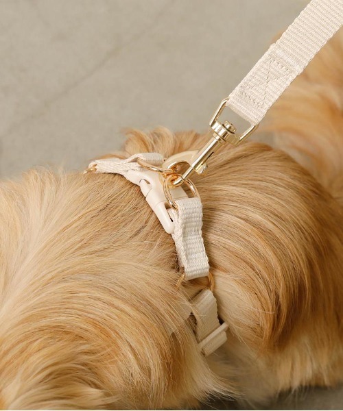 さくらんぼ刺繍ハーネス+リードSET（リード/ハーネス/首輪）｜moncheri