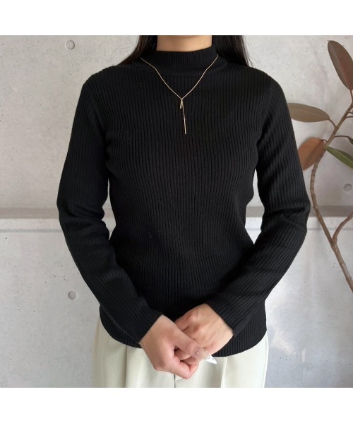 amini(アミニ)の「【2025 AW】プチハイネックリブニット(ニット/セーター・レディース・ブラック・MEDIUM)」の1枚目の写真