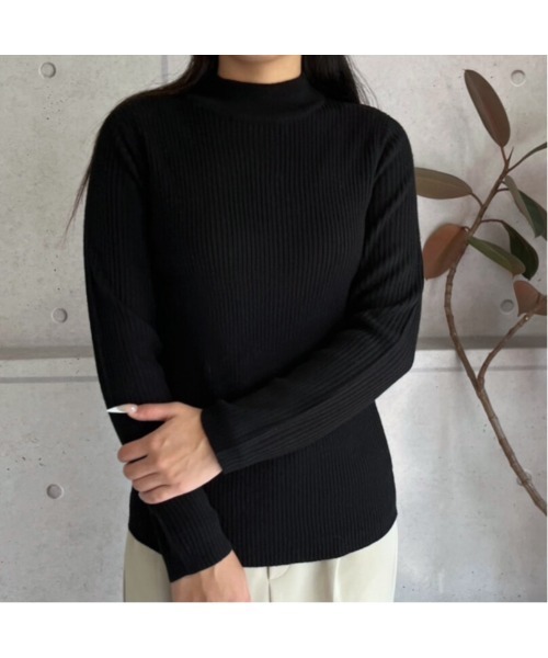amini(アミニ)の「【2025 AW】プチハイネックリブニット(ニット/セーター・レディース・ブラック・MEDIUM)」の2枚目の写真