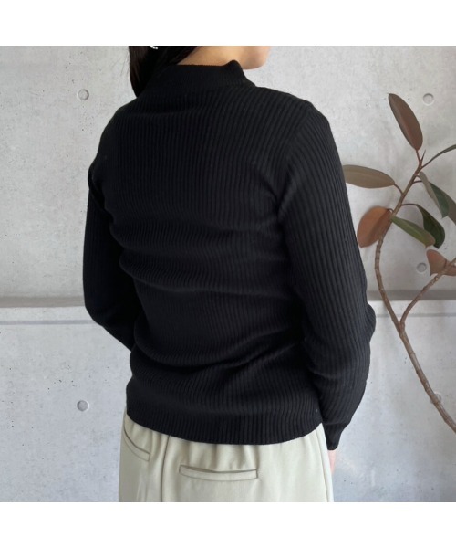 amini(アミニ)の「【2025 AW】プチハイネックリブニット(ニット/セーター・レディース・ブラック・MEDIUM)」の4枚目の写真