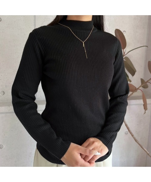 amini(アミニ)の「【2025 AW】プチハイネックリブニット(ニット/セーター・レディース・ブラック・MEDIUM)」の6枚目の写真