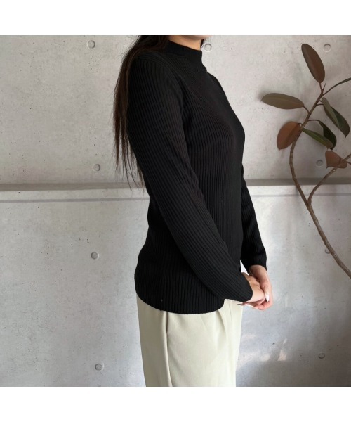 amini(アミニ)の「【2025 AW】プチハイネックリブニット(ニット/セーター・レディース・ブラック・MEDIUM)」の8枚目の写真