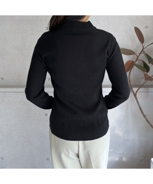 amini(アミニ)の「【2025 AW】プチハイネックリブニット(ニット/セーター・レディース・ブラック・MEDIUM)」の9枚目の写真