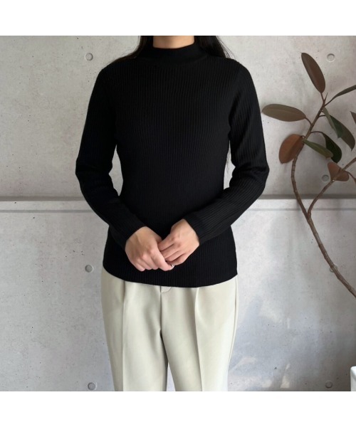 amini(アミニ)の「【2025 AW】プチハイネックリブニット(ニット/セーター・レディース・ブラック・MEDIUM)」の10枚目の写真