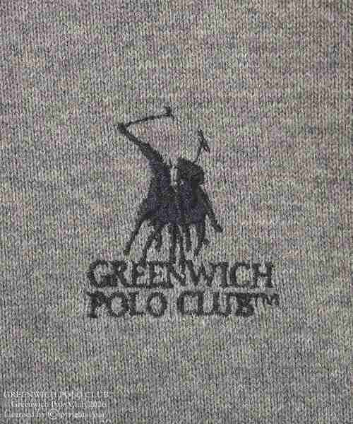 GREENWICH POLO CLUB(グリニッジポロクラブ)の「GREENWICH POLO CLUB(TM) 布帛ドッキングポロニットプルオーバー(Tシャツ/カットソー・レディース・グレー/サックスブルー/イエロー/ホワイト系その他2・FREE)」の21枚目の写真