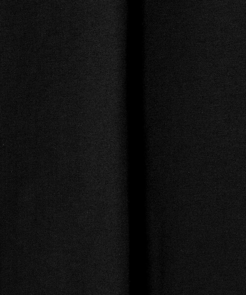 THE NORTH FACE(ザノースフェイス)の「<THE NORTH FACE>フラッシュ ドライフラワー ロゴ Tシャツ(Tシャツ/カットソー・メンズ・ブラック/ホワイト・XL/L/M)」の9枚目の写真