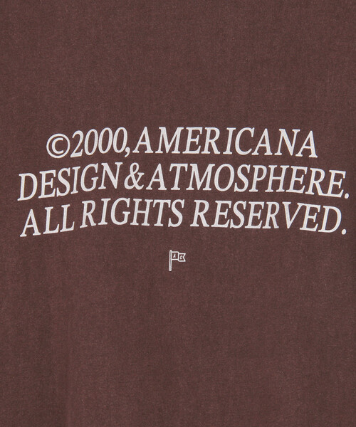 AMERICANA(アメリカーナ)の「AMERICANA/アメリカーナ ビッグシルエット ヴィンテージ天竺 TEE(Tシャツ/カットソー・レディース・ブラウン/チャコールグレー・ONE SIZE)」の10枚目の写真