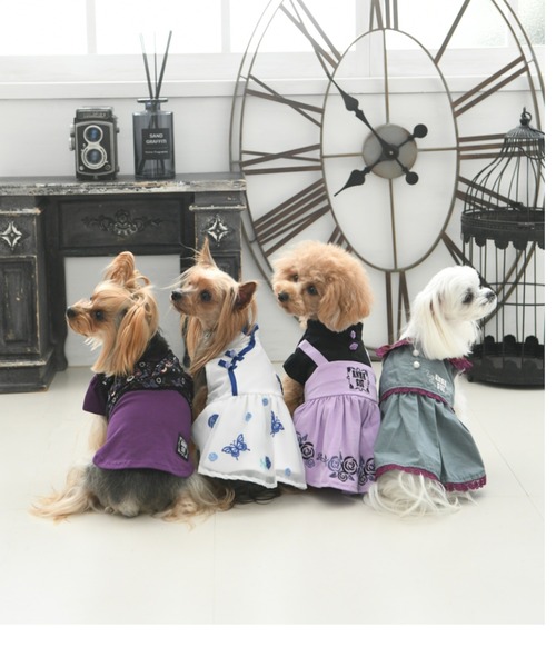 ANNA SUI 紫 黒 レース犬服 XS dog wear