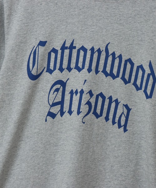 Champion(チャンピオン)の「【Champion/チャンピオン】メンズ ベーシック ロングスリーブTシャツ(Tシャツ/カットソー・メンズ・その他10/ブラック/ホワイト×パープル/グレー系その他2/ベージュ系その他3/ホワイト×ネイビー/ネイビー/バーガンディー・LARGE/SMALL/X-LARGE/MEDIUM)」の18枚目の写真