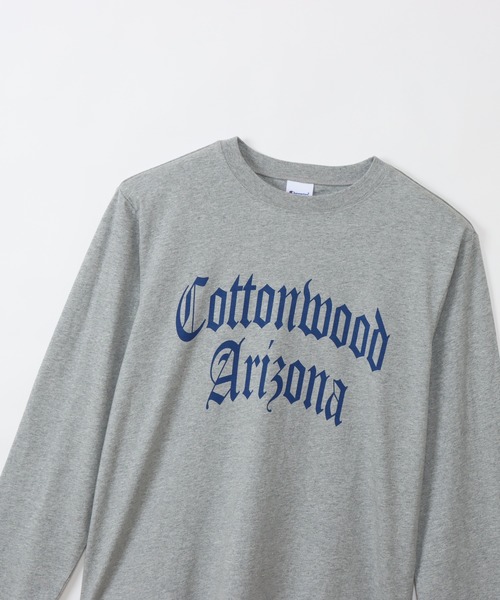Champion(チャンピオン)の「【Champion/チャンピオン】メンズ ベーシック ロングスリーブTシャツ(Tシャツ/カットソー・メンズ・その他10/ブラック/ホワイト×パープル/グレー系その他2/ベージュ系その他3/ホワイト×ネイビー/ネイビー/バーガンディー・LARGE/SMALL/X-LARGE/MEDIUM)」の19枚目の写真