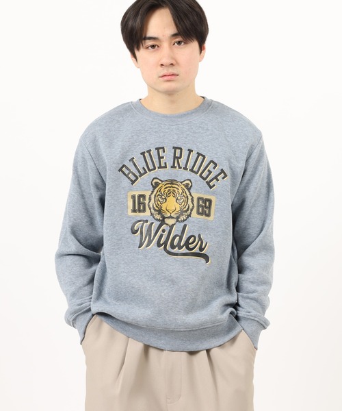 ACE(エース)の「ACE プリント トレーナー(スウェット・メンズ・ブラック/ネイビー/ライトピンク/オフホワイト/ベージュ/ネイビー系/ラベンダー/グレー/ブラック系/ワイン/ライトパープル/オレンジ/オートミール/ブラウン/チャコールグレー/チャコール/ホワイト系その他/ライトカーキ/ブラック系1/ベージュ系/ベージュ系2/ダークグレー/グレー系その他2/ホワイト系/ピンクベージュ/グレー系その他/ワイン系/杢グレー/ブラック系2/ネイビー系2/グレー系・L/LL/M)」の11枚目の写真
