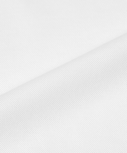 LACOSTE(ラコステ)の「【別注】LACOSTE / ショート スリーブ ポロシャツ(ポロシャツ・メンズ・ブラック/ライトブルー/ホワイト/ネイビー・1/2/3/4/5)」の17枚目の写真