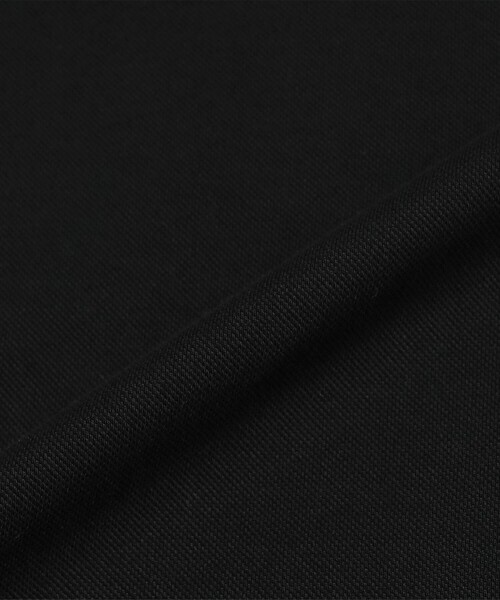 LACOSTE(ラコステ)の「【別注】LACOSTE / ショート スリーブ ポロシャツ(ポロシャツ・メンズ・ブラック/ライトブルー/ホワイト/ネイビー・1/2/3/4/5)」の20枚目の写真