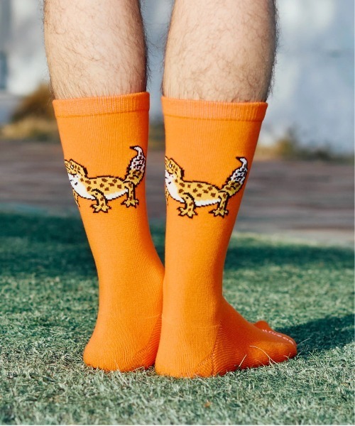 go slow caravan(ゴースローキャラバン)の「ジャガード クルーソックス(ソックス/靴下・メンズ・バイオレット/ブラック/ホワイト/ネイビー/オレンジ/ブルー系その他・LARGE/MEDIUM)」の6枚目の写真