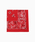 HAV-A-HANKinonN j́uHAV-A-HANK  / nonN ʒ Zodiac signs BANDANAȋjvbbh