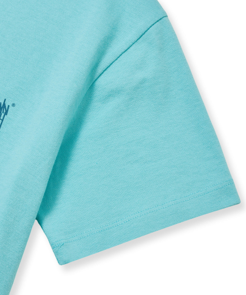 BROWNBREATH(ブラウンブレス)の「W TAG CROP TEE - MINT(Tシャツ/カットソー・レディース・その他・S/M)」の8枚目の写真