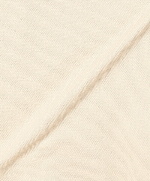 FREAK'S STORE(フリークスストア)の「LACOSTE/ラコステ L.12.12 ポロシャツ /半袖ポロ(ポロシャツ・レディース・ネイビー/ナチュラル/ブラック・3)」の17枚目の写真