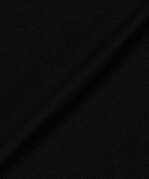 FREAK'S STORE(フリークスストア)の「LACOSTE/ラコステ L.12.12 ポロシャツ /半袖ポロ(ポロシャツ・レディース・ネイビー/ナチュラル/ブラック・3)」の19枚目の写真