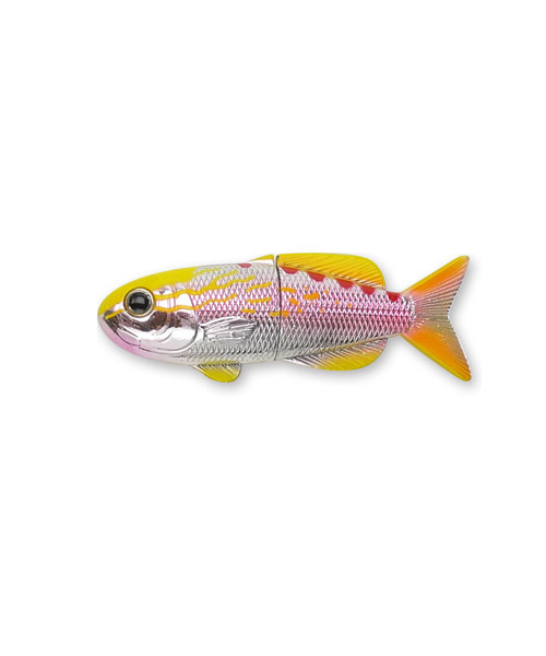 GLOBAL FORME CONCRETE(グローバルフォルムコンクリート)の「FISH MAGNET-TIGER QUEEN【マグネット】(ステーショナリー)」|その他1