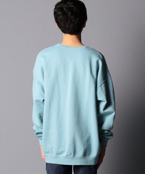 FRUIT OF THE LOOM（フルーツオブザルーム）の「【FRUIT OF THE LOOM/フルーツオブザルーム】 ペールトーン トレーナー  スウェット（スウェット・メンズ・ブルー/レッド/ライトグリーン・M/XL/L）」の6枚目の写真
