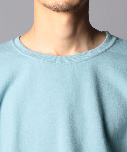 FRUIT OF THE LOOM（フルーツオブザルーム）の「【FRUIT OF THE LOOM/フルーツオブザルーム】 ペールトーン トレーナー  スウェット（スウェット・メンズ・ブルー/レッド/ライトグリーン・M/XL/L）」の7枚目の写真