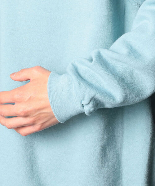 FRUIT OF THE LOOM（フルーツオブザルーム）の「【FRUIT OF THE LOOM/フルーツオブザルーム】 ペールトーン トレーナー  スウェット（スウェット・メンズ・ブルー/レッド/ライトグリーン・M/XL/L）」の8枚目の写真