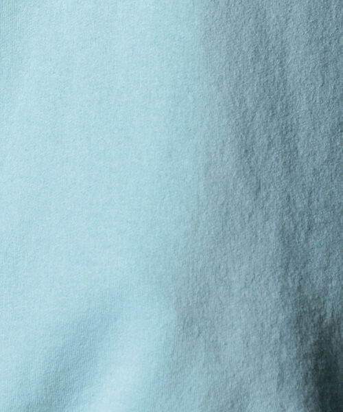 FRUIT OF THE LOOM（フルーツオブザルーム）の「【FRUIT OF THE LOOM/フルーツオブザルーム】 ペールトーン トレーナー  スウェット（スウェット・メンズ・ブルー/レッド/ライトグリーン・M/XL/L）」の10枚目の写真