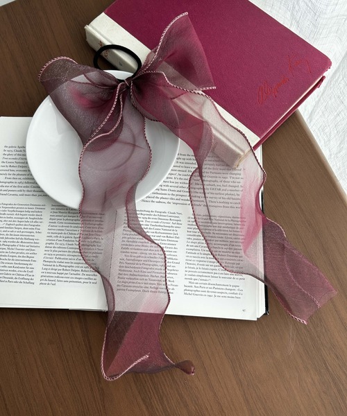 WEGO（ウィゴー）の「WEGO/透けリボンゴム（ヘアゴム・レディース・ブラック/ベージュ/オフホワイト/グリーン/ライトピンク/サックスブルー/その他2/その他1/ワイン/ライトベージュ/シルバー/その他6/その他8/その他5/その他4/その他7/その他3・FREE）」の8枚目の写真