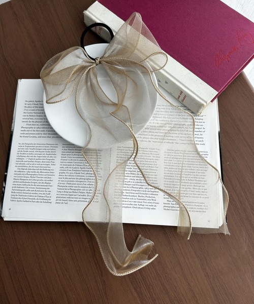 WEGO（ウィゴー）の「WEGO/透けリボンゴム（ヘアゴム・レディース・ブラック/ベージュ/オフホワイト/グリーン/ライトピンク/サックスブルー/その他2/その他1/ワイン/ライトベージュ/シルバー/その他6/その他8/その他5/その他4/その他7/その他3・FREE）」の4枚目の写真