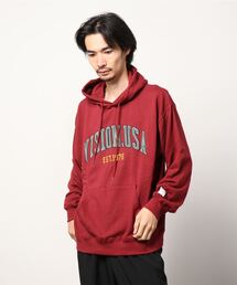 VISION STREET WEAR ベロアワッペン裏毛フーディー