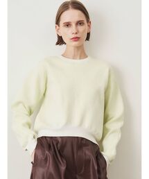 ELENDEEK | クルーネックバイカラーニット(ニット/セーター)