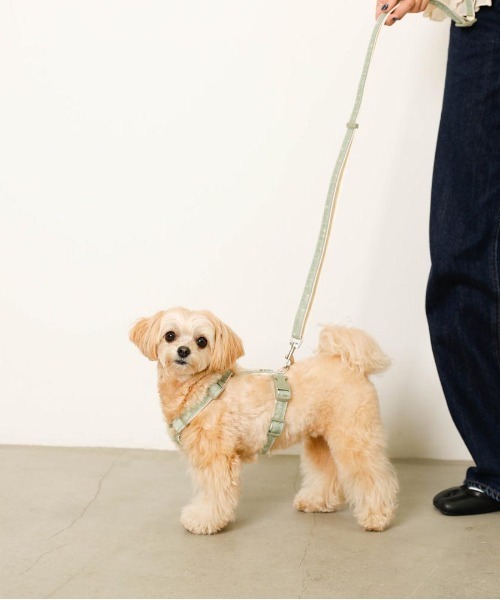 moncheri（モンシェリ）の「2way反射ほし柄リード / 犬服 / ドッグウェア（リード/ハーネス/首輪・レディース・アイボリー/グリーン・FREE）」の5枚目の写真
