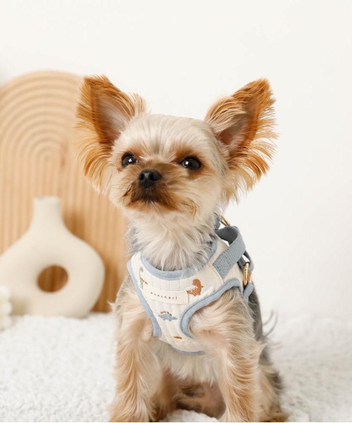 moncheri 恐竜さん柄刺繍ハーネス S moncheri 恐竜さん柄刺繍ハーネス+リードSET Pets-first ONLINESTORE