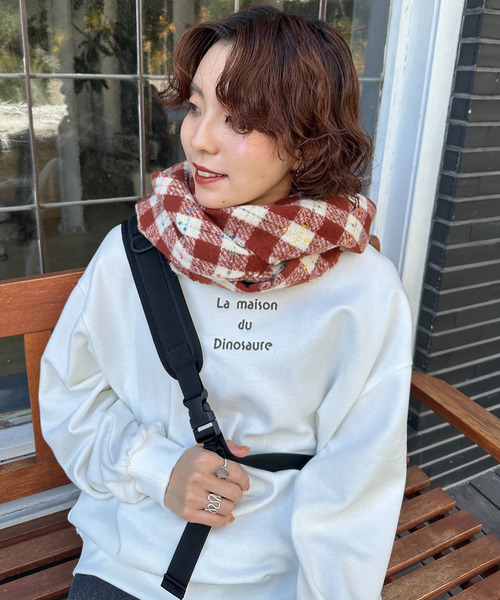 DOUBLE NAME（ダブルネーム）の「みんなで住みたい恐竜プルオーバー（その他トップス・レディース・オフホワイト/ブルー/ブラック系・FREE）」の14枚目の写真