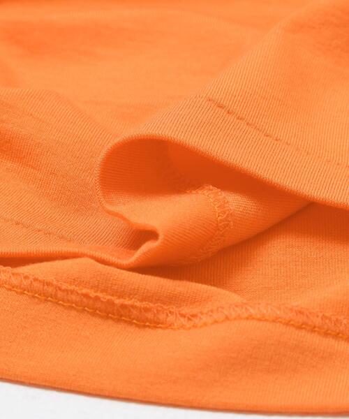 THE GOODLAND MARKET(ザグッドランドマーケット)の「cwtch SHEER LONG-SLEEVE T-SHIRTS(Tシャツ/カットソー・レディース・オレンジ/ネイビー/ミント/ホワイト・FREE)」の15枚目の写真