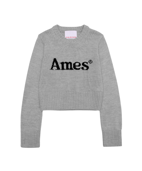 AMESWORLDWIDE(アメスワールドワイド)の「BASIC PULLOVER KNIT GREY(ニット/セーター・メンズ・その他・MEDIUM/LARGE/SMALL)」の2枚目の写真
