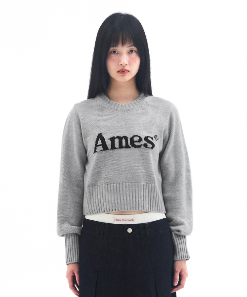 AMESWORLDWIDE(アメスワールドワイド)の「BASIC PULLOVER KNIT GREY(ニット/セーター・メンズ・その他・MEDIUM/LARGE/SMALL)」の5枚目の写真