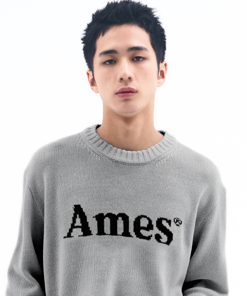 AMESWORLDWIDE(アメスワールドワイド)の「BASIC PULLOVER KNIT GREY(ニット/セーター・メンズ・その他・MEDIUM/LARGE/SMALL)」の7枚目の写真