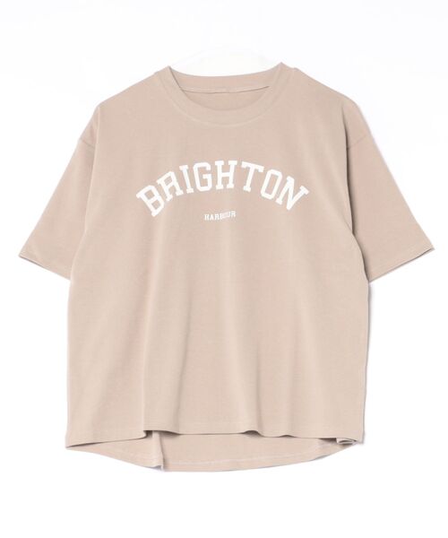 TRIANGLE PALETTE(トライアングルパレット)の「五分袖 アーチロゴ ワイドTシャツ / スーパーストレッチ 半袖T(Tシャツ/カットソー・レディース・ホワイト/グレイッシュベージュ/ブラック/ホワイト系その他・FREE)」の13枚目の写真