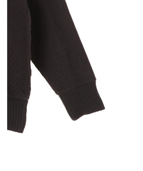 AMERICAN HOLIC(アメリカンホリック)の「両Vネックカットジャガードプルオーバー *(Tシャツ/カットソー・レディース・チャコールグレー/ベージュ/アイボリー・MEDIUM/LARGE)」の15枚目の写真