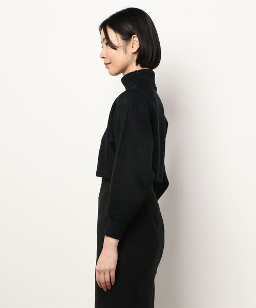 FIG&VIPER（フィグアンドバイパー）の「タートルクロップドニットTOP（ニット/セーター・レディース・ブラック/グレー/アイボリー・FREE）」の18枚目の写真